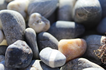 Fototapeta na wymiar Large sea stones close-up.