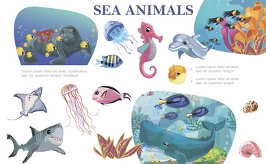 Obraz premium Colorful Sea Life Concept