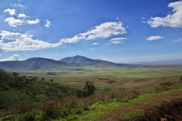 Safari, Tanzania, Kenya