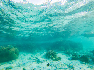 tropical blue ocean underwater background - luxury nature pattern
