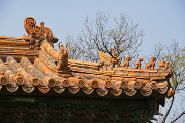on the roof of a buddhist temple in beijing (china)