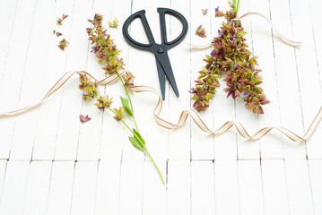 Dried sage plants