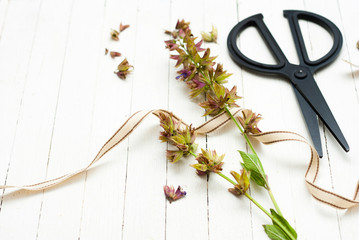 Dried sage plants