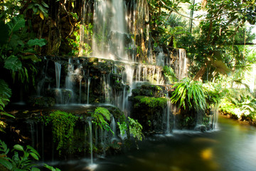 Waterfall under a jungle canopy in Thailand