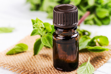 Oregano essential oil