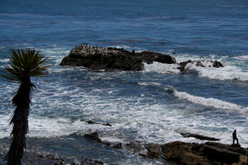 Solace and solitude in Laguna Beach CA