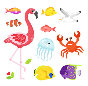 Fish different types set vector, flamingo pink bird with jellyfish. Crab and seagull, flower and flora foliage of exotic area. Jellyfish and crayfish