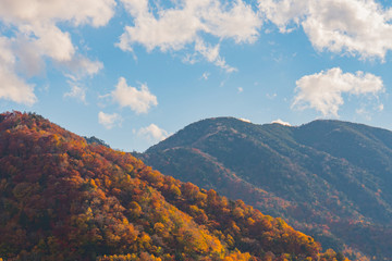 Colorful Mountain landscape in autumn with blue sky.