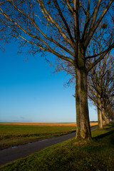 Obraz premium Fields in Flanders, Belgium