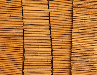 wooden background of branches