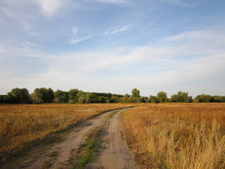 Fototapeta na wymiar Summer or early autumn scene with sandy road going through the meadow with dry herbs.