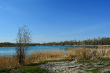 Landscape with lake and clear blue sky in may.