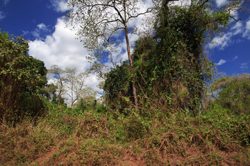 Ngorongoro, Safari, Tanzania