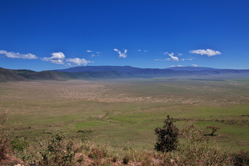 Ngorongoro, Safari, Tanzania