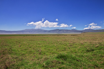 Obraz premium Ngorongoro, Safari, Tanzania