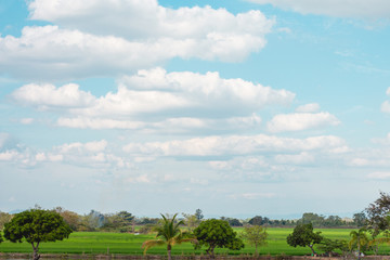 Beautiful Blue sky and cloud with meadow, tree.landscape background for summer.The best view for holiday