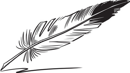 Obraz premium Hand drawn feather