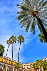 Royal area in Barcelona, Spain. High palm trees among traditional Spanish architecture at main central square of old town. Summer landscape with blue sky and clouds. - obrazy, fototapety, plakaty