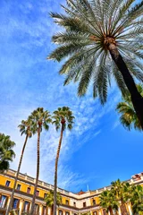 Foto op Plexiglas Royal area in Barcelona, Spain. High palm trees among traditional Spanish architecture at main central square of old town. Summer landscape with blue sky and clouds. © Yasonya