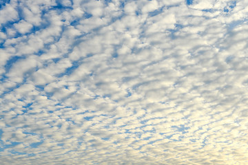 The blue sky and white fluffy clouds