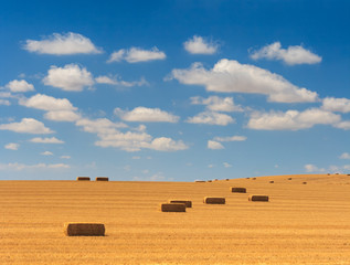 Straw bales on a field in sunny day with sky and clouds