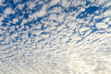 Fototapeta premium The blue sky and white fluffy clouds
