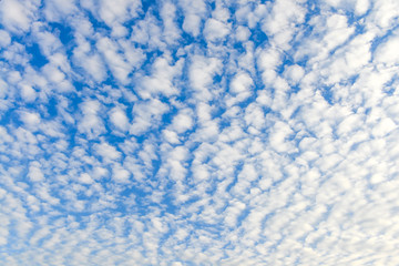 The blue sky and white fluffy clouds