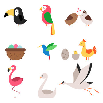 Cute cartoon birds vector flat simple icons set isolated on a white background.