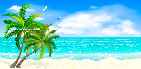 Fototapeta na wymiar Tropical seascape with palm trees. Sea tropical landscape. Sandy beach with palm trees. Seacoast with palm trees, blue sky and white clouds. Palm trees against the background of the sea, sky and cloud