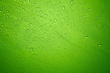 Rain drops on the solid abstract green background. Bright shiny pattern of raindrops