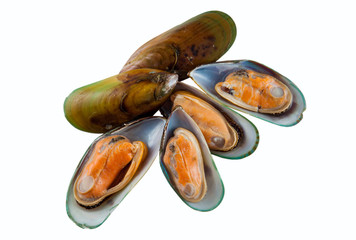 Mussels boiled on a white background