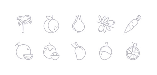 simple gray 10 vector icons set such as lime, lychee, mango, mangosteen, daikon, melon, olive. editable vector icon pack