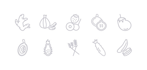 simple gray 10 vector icons set such as courgette, cucumber, dill, dragon fruit, durian, eggplant, fig. editable vector icon pack