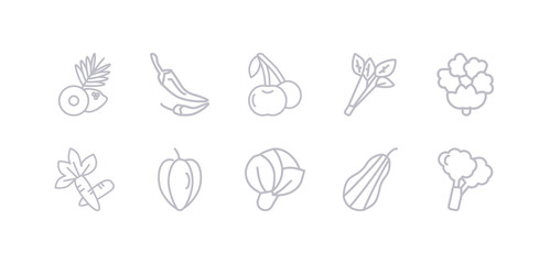 simple gray 10 vector icons set such as broccoli, butternut squash, cabbage, carambola, carrots, cauliflower, celery. editable vector icon pack
