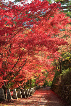 高城山展望台photos Royalty Free Images Graphics Vectors Videos Adobe Stock