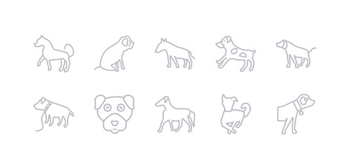 simple gray 10 vector icons set such as border collie dog, borzoi dog, boston terrier dog, boxer bracco italiano brittany bull terrier editable vector icon pack