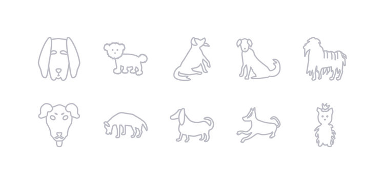 simple gray 10 vector icons set such as basenji dog, basset hound dog, beagle dog, beauceron bergamasco berger picard bernese mountain editable vector icon pack