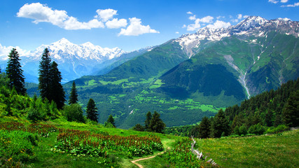 Alpine green valley landscape. Summer day in Alps