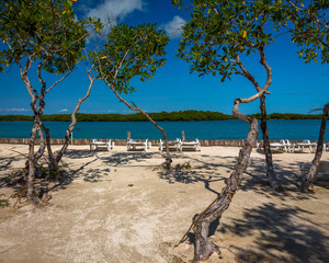 Vegetation and Palapas in the Beautiful caribbean island of Belize