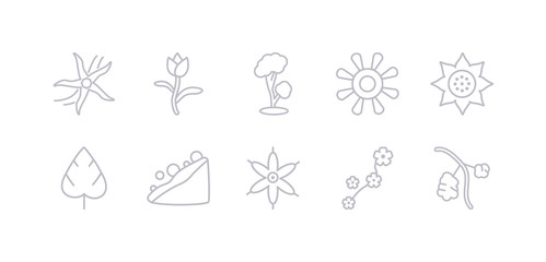 simple gray 10 vector icons set such as rowan, sakura, sisyrinchium, snowslide, spear shaped, sunrise, sunset. editable vector icon pack