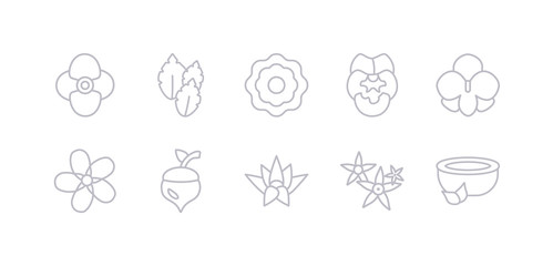 simple gray 10 vector icons set such as natural medical pills, neroli, nymphea, oak, oleander, orchid, pansy. editable vector icon pack