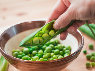 fresh green peas, just harvest. close up view of opened pod 4