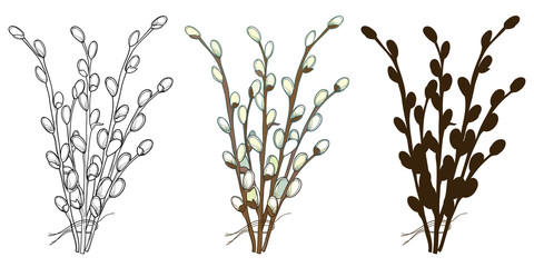 Set with bouquet of outline Willow twigs in pastel and black isolated on white background.  - obrazy, fototapety, plakaty