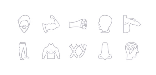 simple gray 10 vector icons set such as male head side view with brains, male nose of a line, masculine chromosomes, men chest, men leg, men shoulder, mouth open. editable vector icon pack