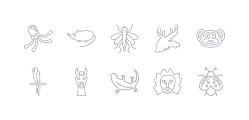 simple gray 10 vector icons set such as ladybug, lion, lizard, llama, macaw, monkey, moose. editable vector icon pack