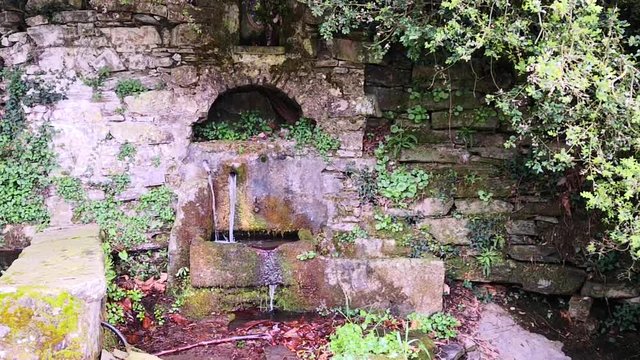 Fonte di montagna 3