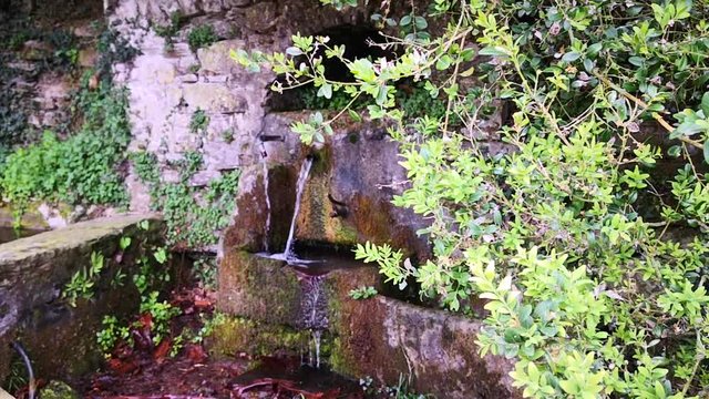 fonte di montagna 2