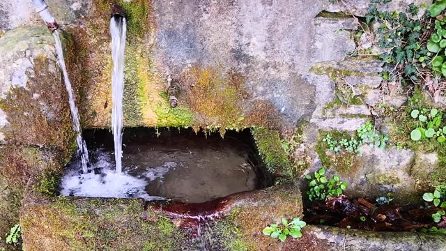fonte di montagna 1