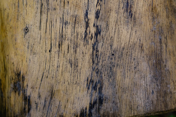 wooden wall texture.