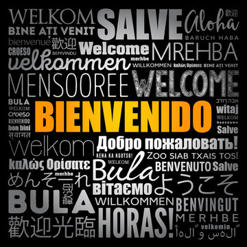 Bienvenido Welcome Spanish Word Cloud Different Stock Vector (Royalty Free)  1411268879
